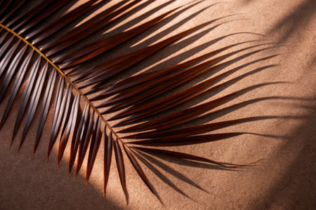 Tropical palm leaf on brown background. Flat lay, top view.の素材
