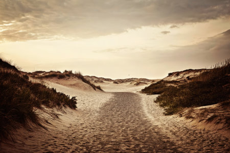 Sandy Trail Through Grassy Dunes Under Cloudy Skyの素材