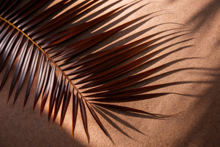 Tropical palm leaves on brown background. Flat lay, top view.の素材