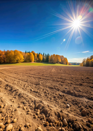 autumn landscape with plowed field and forest on the horizon under blue skyの素材