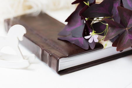 A beautiful photobook of white with brown lies on a white background. Little white horseの写真素材