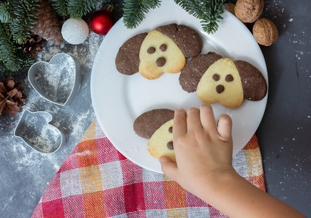 Cookies in the form of a dog on the Christmas table. Symbol of the new year 2018. A child takes a cookieの写真素材