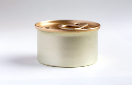 Round tin can with pull tab lid. Canned food metal package, mock-up. Blank aluminum cylinder...