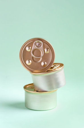 Three Jars of cat food on a mint backgroundの写真素材