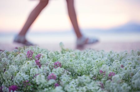 Legs. A child walks near a flowerbed with flowers and Lake Garda, Italy. Sunset, freedom, movement, move, happiness.の写真素材