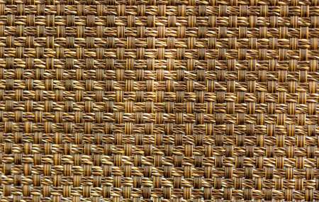 White bougainvillea in a pot on a gray backgroundの写真素材