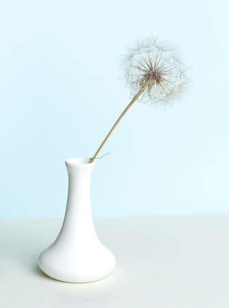 Dandelion in a vase on a light pastel blue backgroundの写真素材