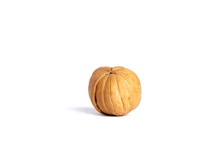 Walnut on white background. isolateの写真素材