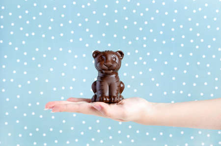 Chocolate tiger on a childs hand. Snowy blue background.の写真素材