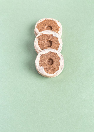 Peat briquettes for growing seedlings and young plants on green backgroundの写真素材