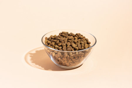 Dry food in a transparent bowl for cats and dogs on a beige, peach backgroundの写真素材