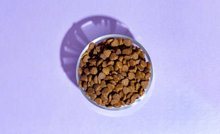 Dry food in a transparent bowl for cats and dogs on a purple backgroundの写真素材