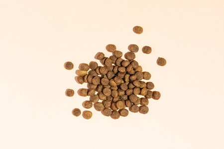 A handful of dry food for cats and dogs on a beige background. View from aboveの写真素材