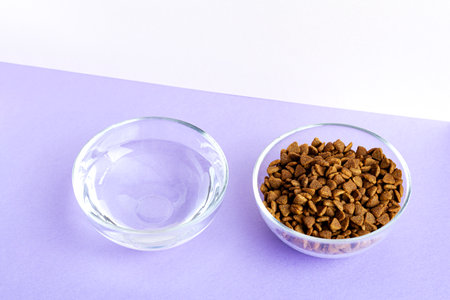 Dry pet food in a glass jar and bowl close-up on a lilac background. View from aboveの写真素材