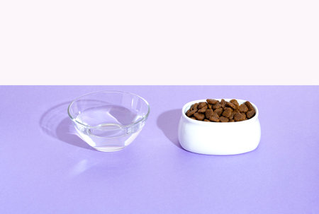The shadow of a cat near a bowl of dry food and water. Purple background. Isometric. trendの写真素材