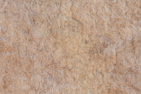 Traditional Kazakh felt camel brown, beige color. Background.