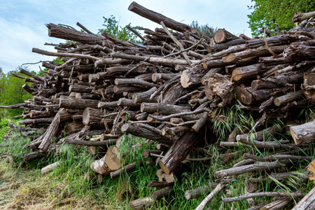 Stacked wooden logs in an outdoor environment, surrounded by vibrant grass and trees, highlighting...