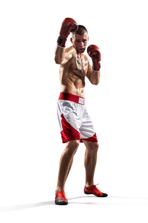 Professionl boxer is isolated on white backgroundの写真素材