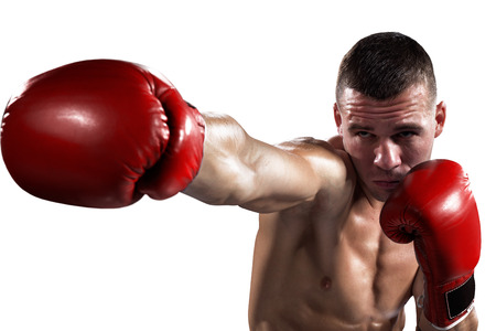 Professionl boxer is isolated on white backgroundの写真素材