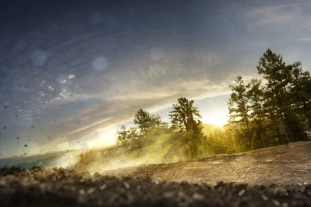 Background forest track dirt bikeの写真素材