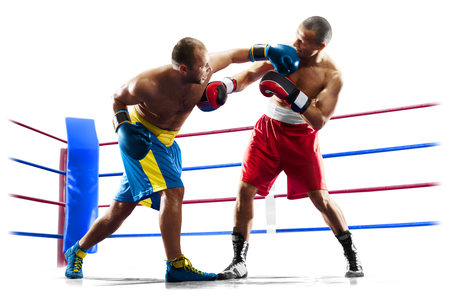 professional boxers isolated in white background darkの写真素材