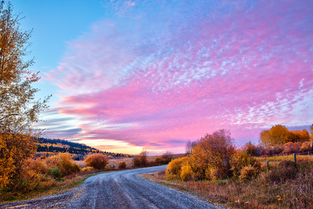 Country road in fall at sunset, Alberta, Canadaの写真素材