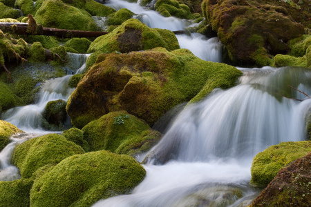 Small mountain stream surrounded by mossの写真素材