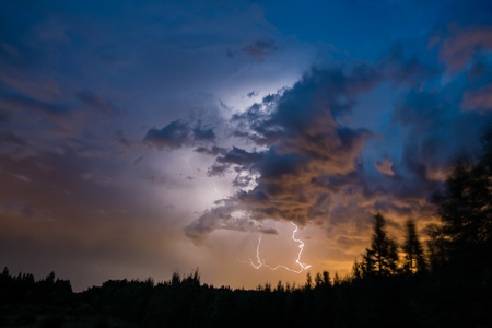Lightning strike over the forestの写真素材