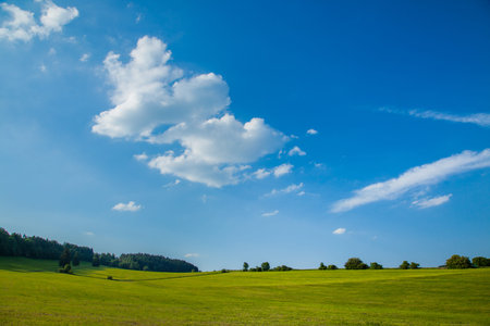 A beautiful green field or pasture on a warm summer day