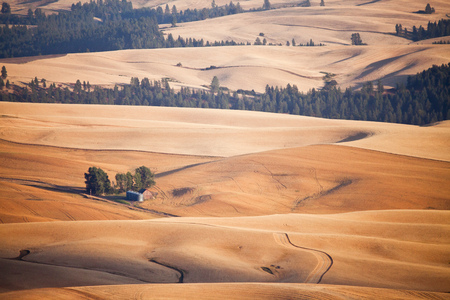 A view of the Palouse from the top of Steptoe Butte in eastern Washington, USAの写真素材