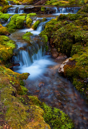 Small mountain stream surrounded by moss covered rocksの写真素材