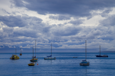 Boats in a marina off the coast of Vancouver Island, British Columbia, Canadaの写真素材