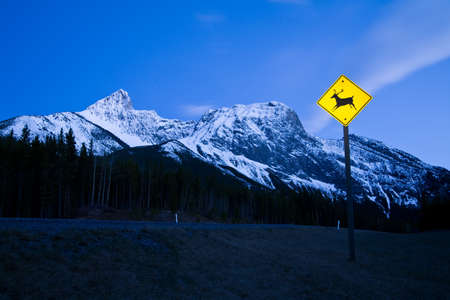 Caution deer or wildlife sign in the mountains at night in Kananaksis, Alberta, Canadaの写真素材