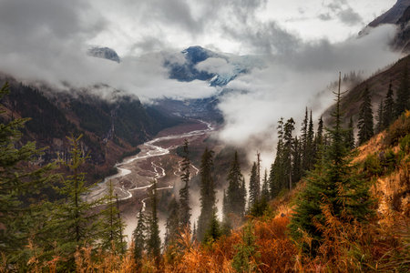 The Columbia Icefield and Bryce Brook in the Canadian Rocky Mountains