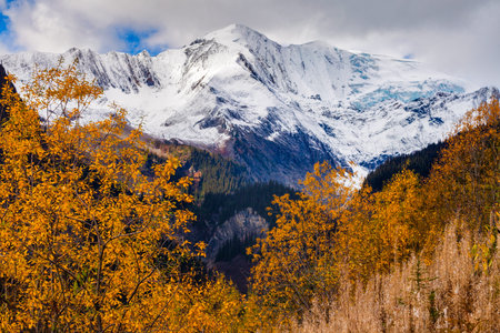 The Columbia Icefield and Bryce Brook in the Canadian Rocky Mountains