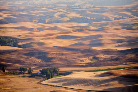 A view of the Palouse from the top of Steptoe Butte in eastern Washingtonの写真素材