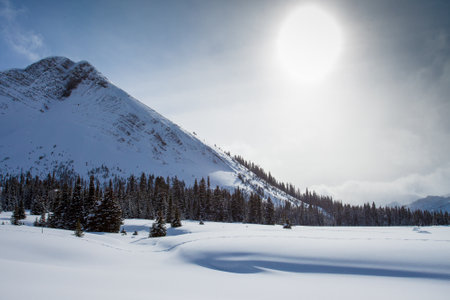 a snowshoing trail in Kananaskis, Peter Lougheed Provincial Park, Alberta, Canadaの写真素材