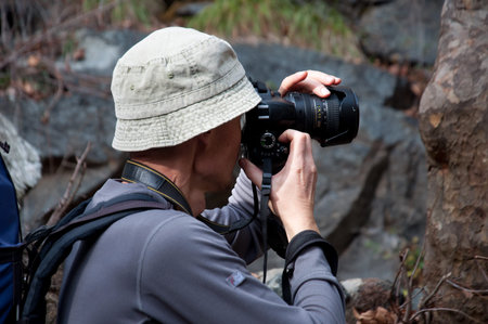 Photographer in action in the pine forest of Cyprus