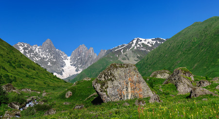 Summer landscape with river, big stones and mountain snow. Georgia.の写真素材