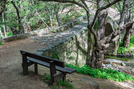 Medieval Venetian stone bridge