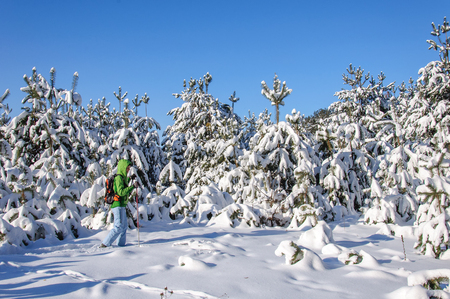 woman in outdoors clothes is riding on wooden skis on frozen riverの写真素材