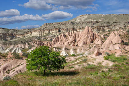 Beautiful Turkish landscape. The valleys of Cappadocia with red tuff mountains and fantastic valleysの写真素材