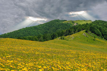 Severe stormy cloudy sky with gaps in the form of eyes over a flowering ridge in the Carpathian Mountains of Ukraineの写真素材