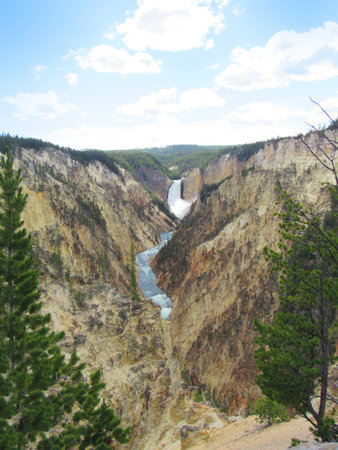 Grand Canyon of Yellowstoneの写真素材