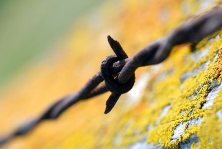 Selective focus of rusty barbed wire macro on range pasture with rust colored lichenの写真素材