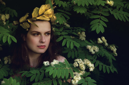 portrait of a woman in the thickets, image of the Greek nymphの写真素材