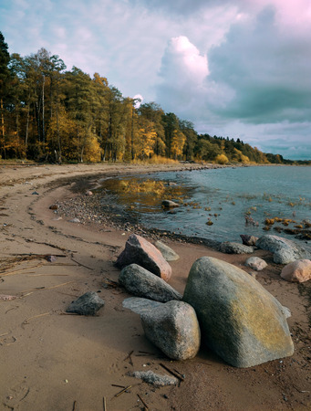 autumn on shore, landscape in Baltic seaの写真素材