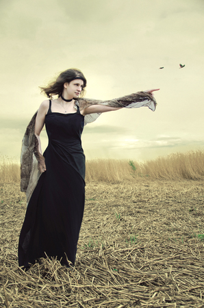 witch in the swamp of birds indicates the direction of flightの写真素材