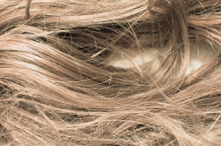 tangled brown hairの写真素材