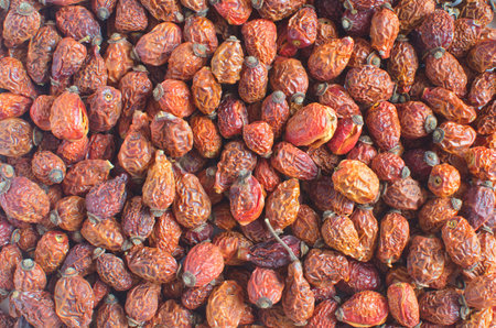 set of dry rose hip berries close - up-background